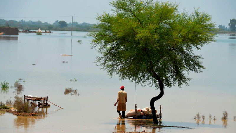 Fuertes lluvias en Pakistán deja cuatro muertos y nueve heridos