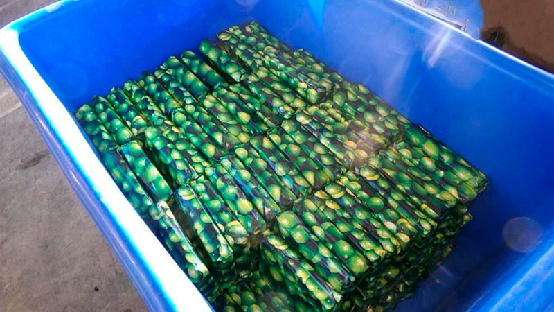 En cargamento de limones, agentes fronterizos hallan cerca de 200 kilos de droga con valor de 3 mdd