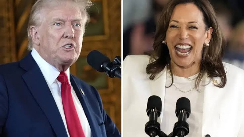 Encuestas revelan que Kamala Harris aventaja a Donald Trump en la carrera presidencial de Estados Unidos 