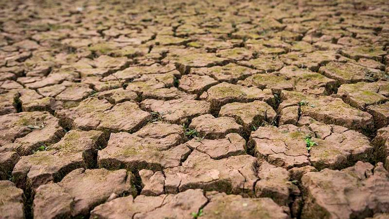 Se necesitan mil mdd diarios hasta 2030 para combatir desertificación y sequia global: CNULD